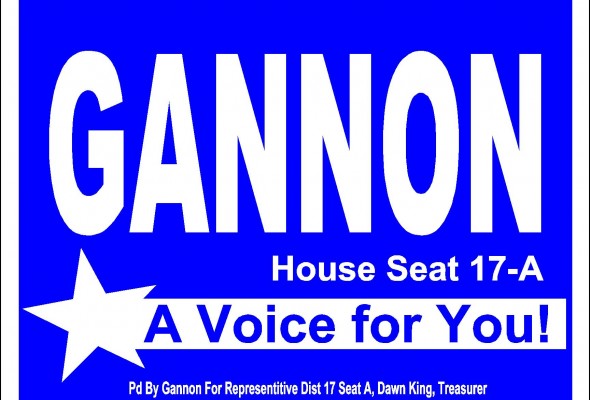 Gannon Says “Vote” but Promises Legislation to Keep Party Affiliation Private